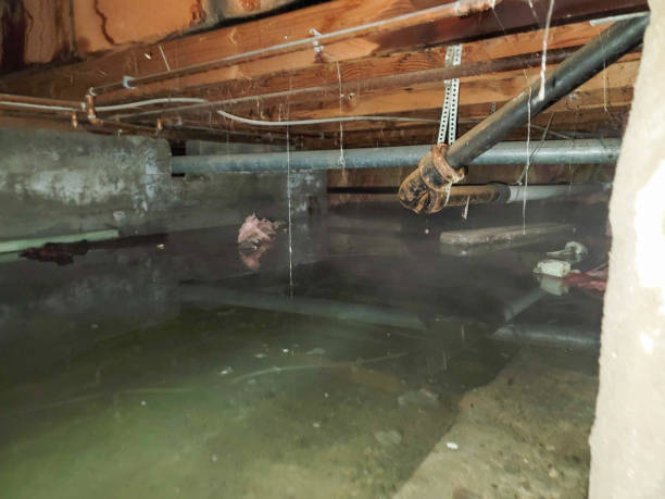 Best Water damage restoration experts  in St John, IN