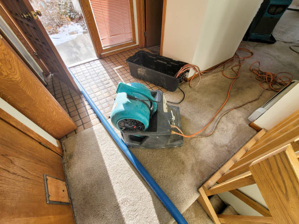 Best 24/7 water damage repair  in St John, IN