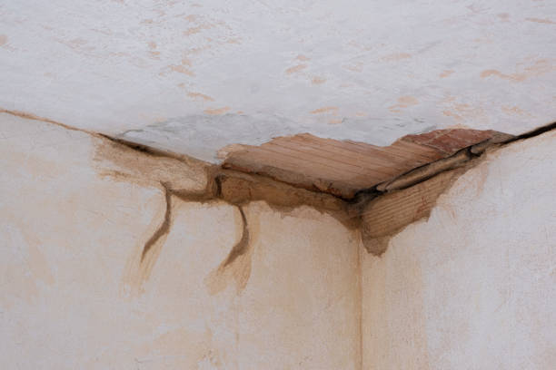 Best Professional water damage repair  in St John, IN