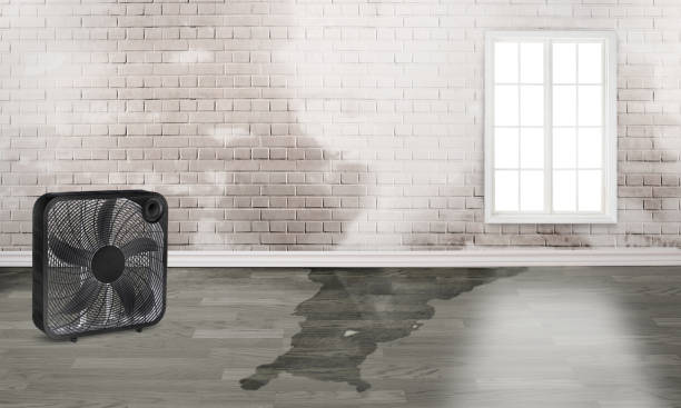 Best Commercial water damage restoration  in St John, IN