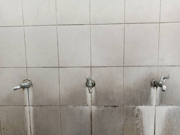 Best Water damage cleanup near me  in St John, IN