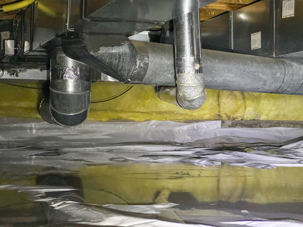 Best Flood damage cleanup  in St John, IN
