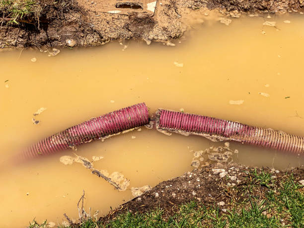 Best Local water damage restoration  in St John, IN