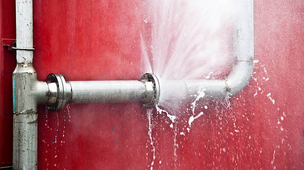 Best Flood restoration services  in St John, IN